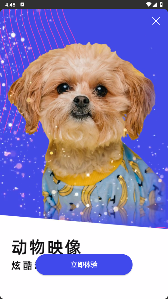 炫影相机app