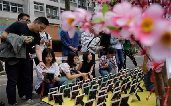 樱花季节武大学生销售“校花”,美丽与收益兼得!