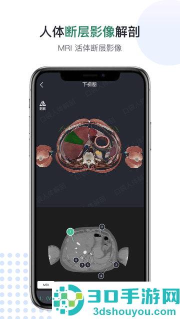 口袋人体解剖app