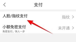点淘人脸指纹支付方法步骤