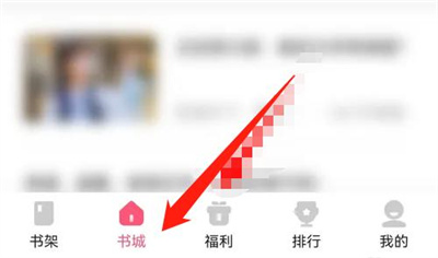 喵爪小说题材选择指南:挑选小说的步骤与方法