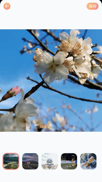 全民拍照大师下载app