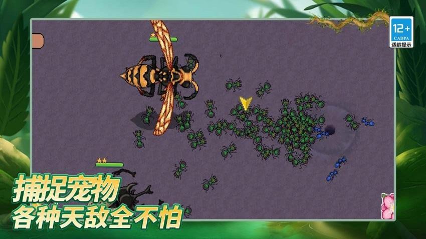 岛上我最溜游戏下载
