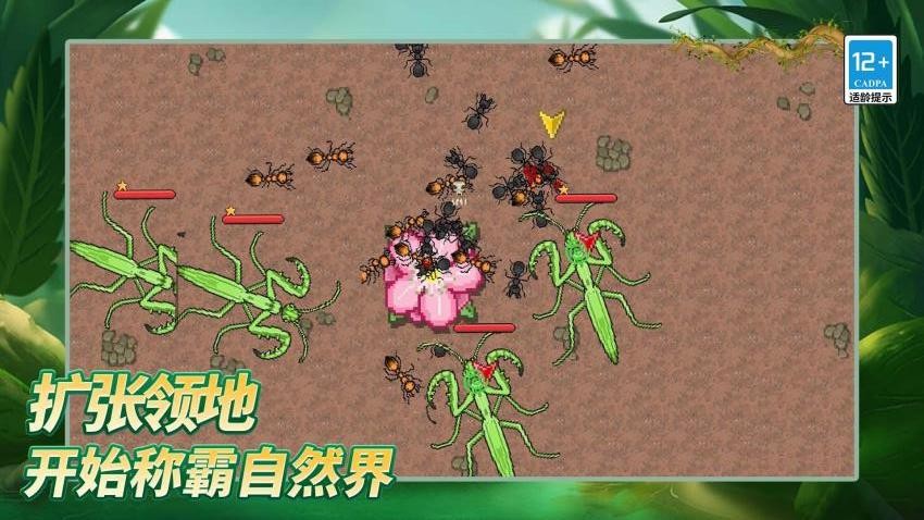 岛上我最溜游戏下载