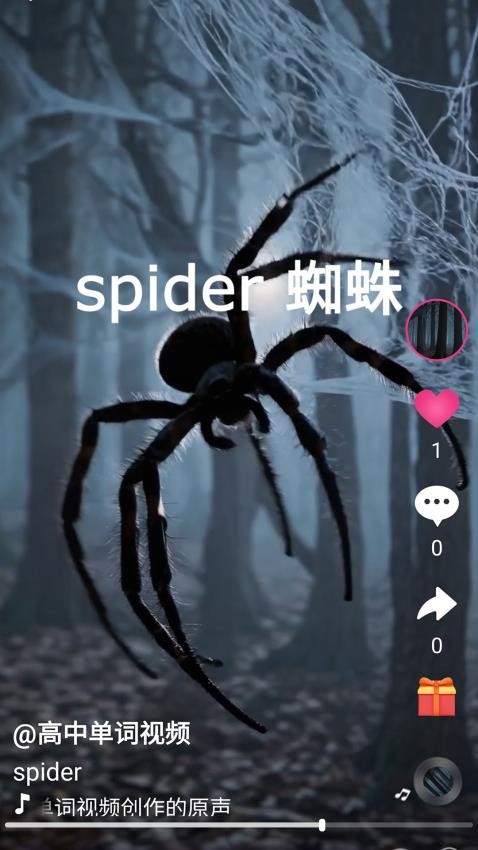 刷单词app下载
