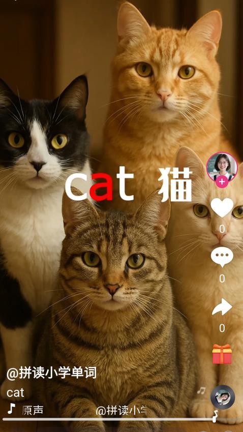 刷单词app下载
