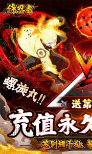 侍忍者官方版