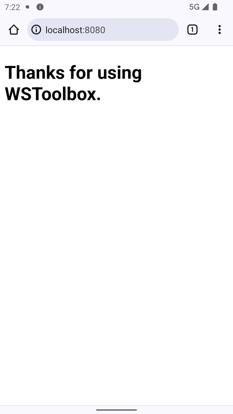 WSTool Box最新版下载