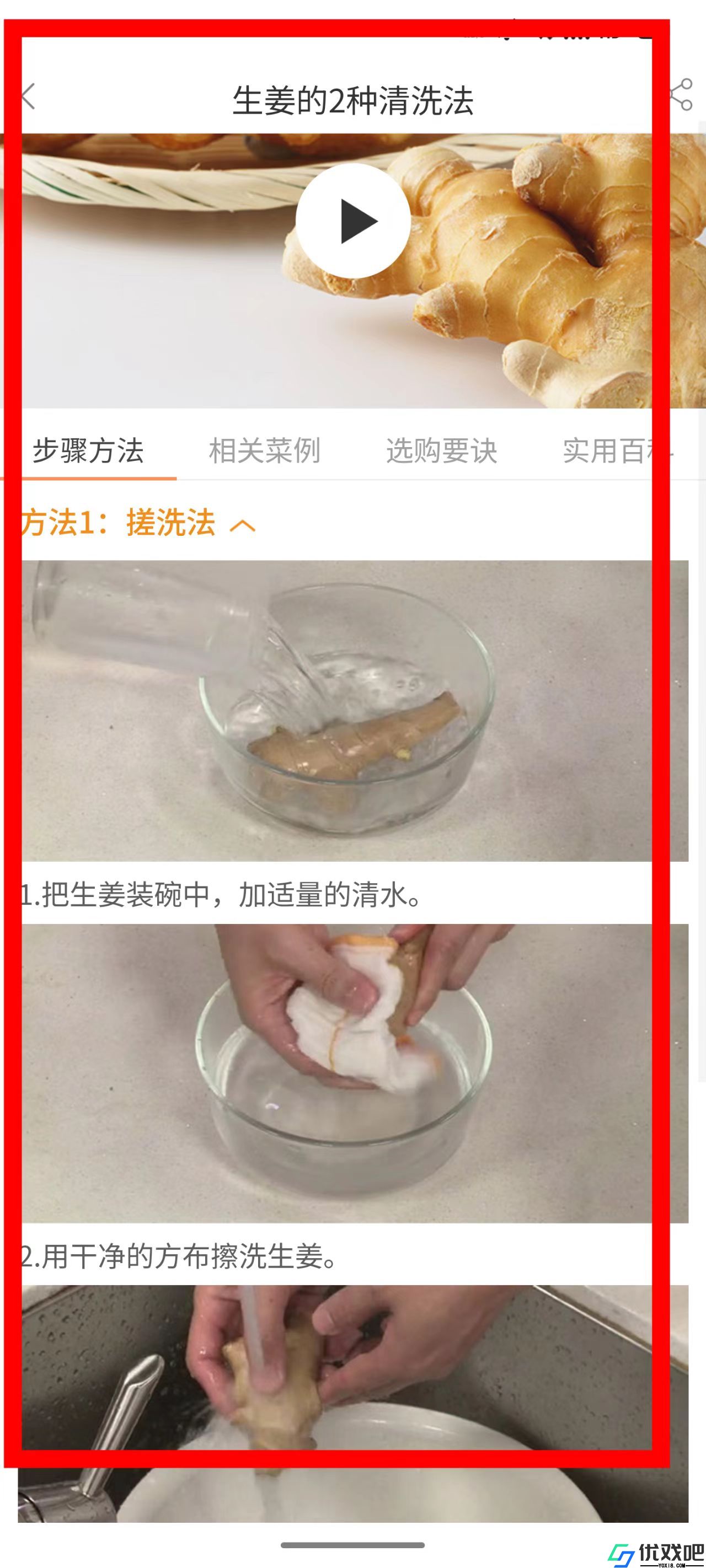 掌厨