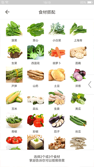 掌厨正版下载