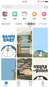 仙女壁纸app
                           