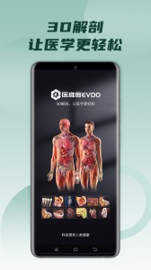 医维度解剖