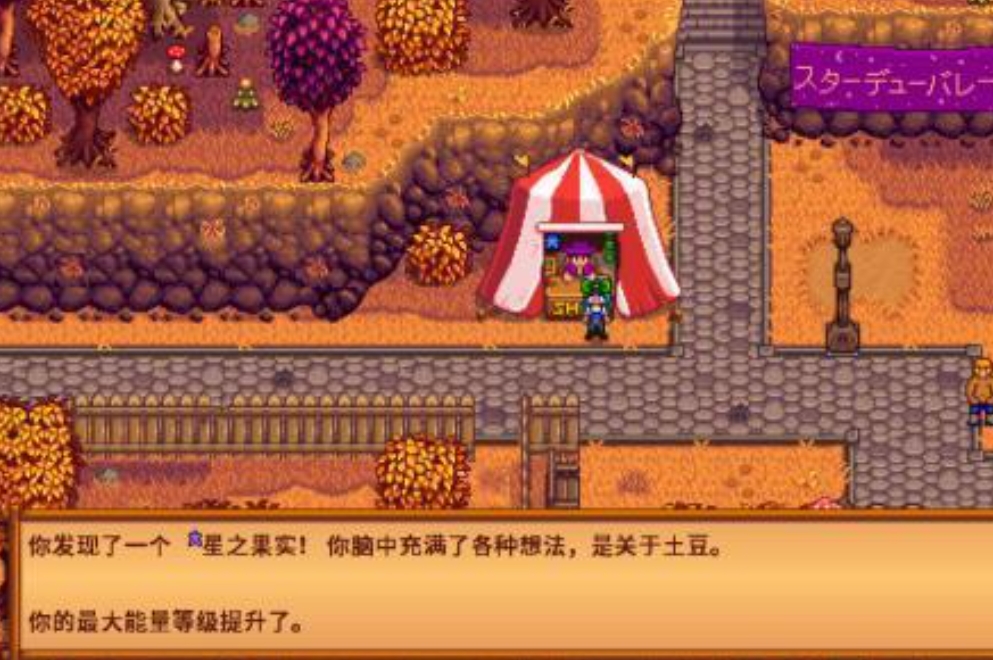 星露谷物语星之果实在哪里拿-星露谷物语星之果实技巧提升