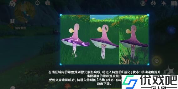 原神当中的蕈兽该怎么打