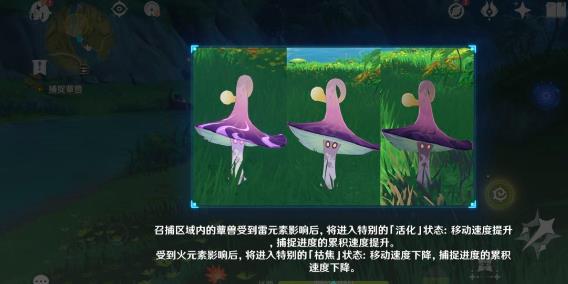 原神当中的蕈兽该怎么打-原神蕈兽测评