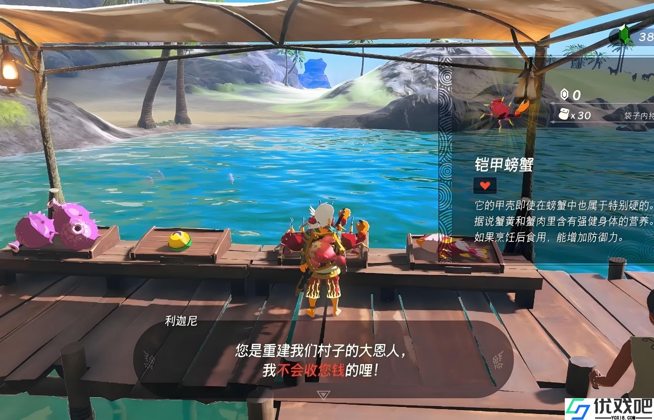 王国之泪沃托里村可以干嘛