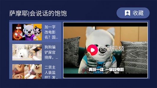 欢视助手TV版
                           