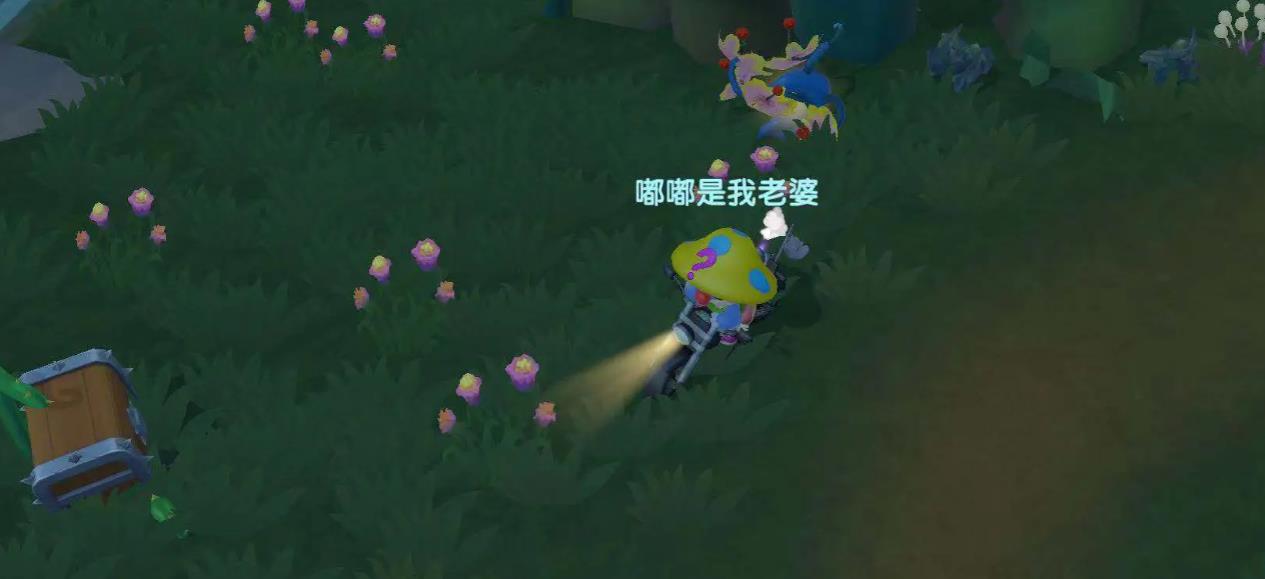 摩尔庄园黑森林攻略是什么-摩尔庄园黑森林操作指南