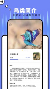 Papago翻译免费版