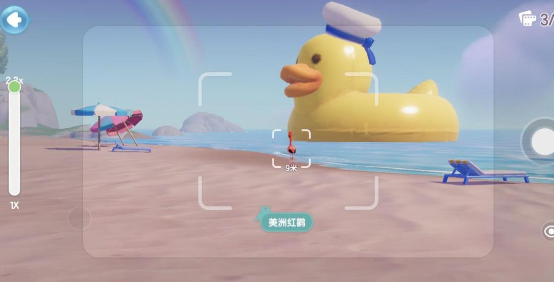 心动小镇观鸟爱好怎么解锁-心动小镇观鸟全方位秘籍