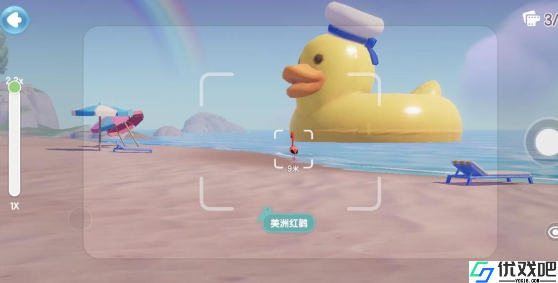 心动小镇观鸟爱好怎么解锁