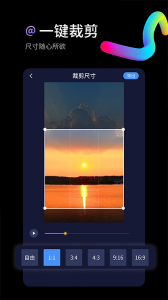 水印狗app
                           