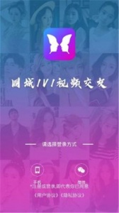迷蝶交友
                           
