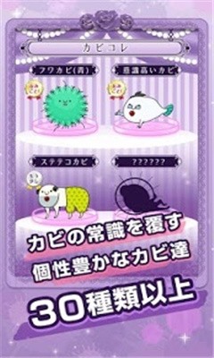 污部屋之姬安卓版下载