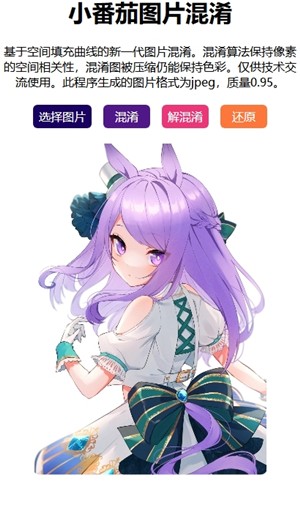 小番茄混淆工具官方正版下载
