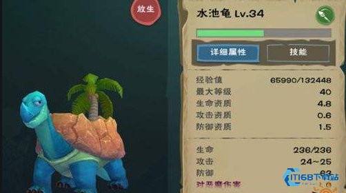 高效驯服水池龟！<font color=red>新手</font>必备饲料攻略与实战技巧【完全解析】