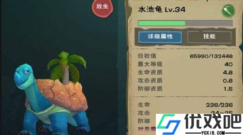 高效驯服水池龟