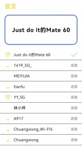 多屏互动投屏
                           