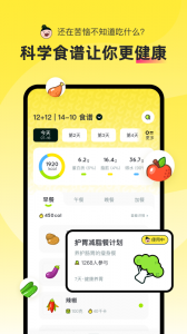 轻食go官方版
                           