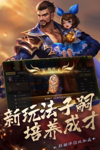 真赵云无双vivo版