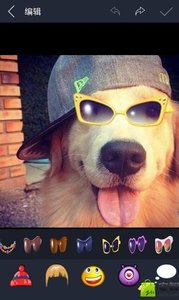 光影魔术手app
                           