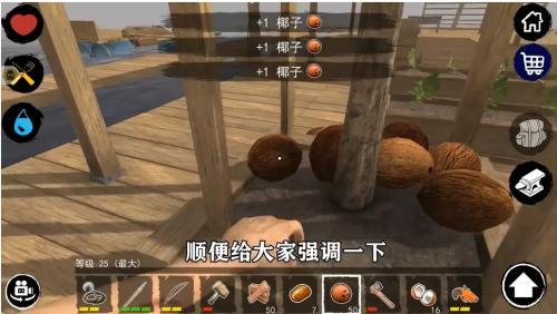 孤舟求生联机版中文版最新版下载