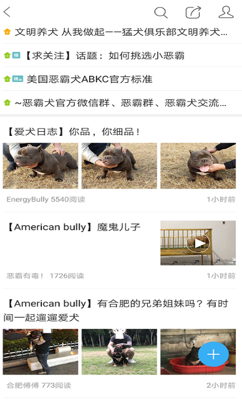 猛犬俱乐部最新版下载