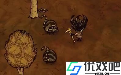 饥荒当中的浣熊有什么用