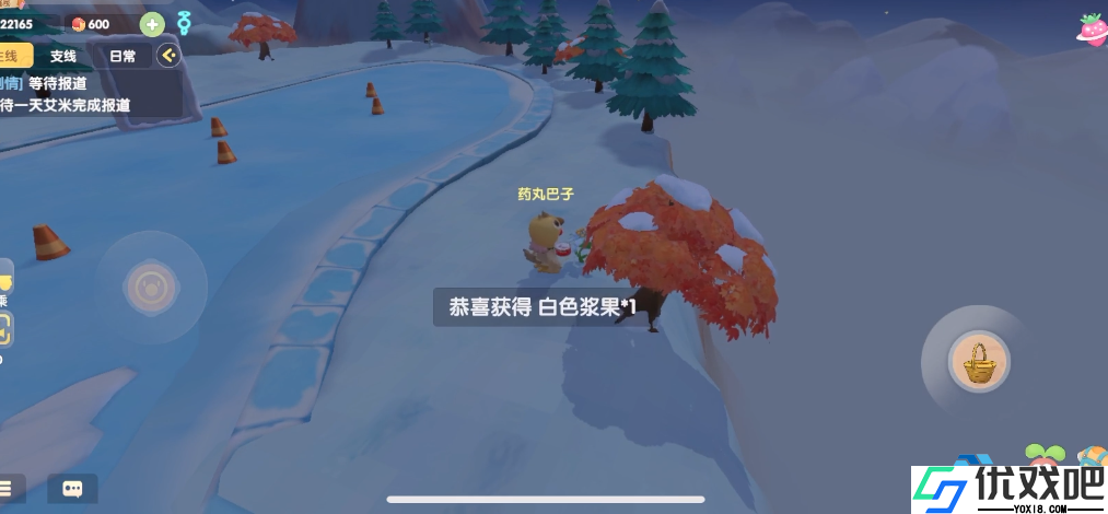 浆果雨蘑菇三重奏