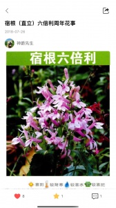花信手机版