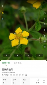花信手机版
                           