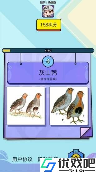 飞鸟乐园游戏机