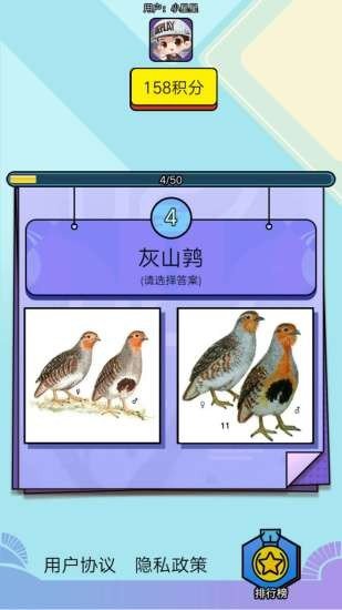 飞鸟乐园游戏机手机版下载
