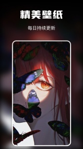 次元壁纸app
                           