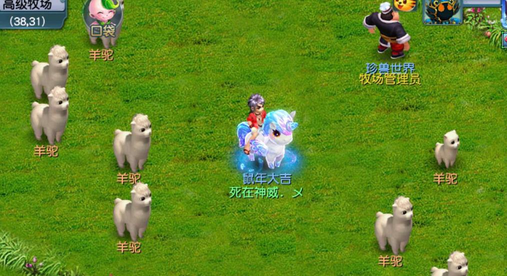 梦幻西游怎么养羊驼-梦幻西游羊驼测评