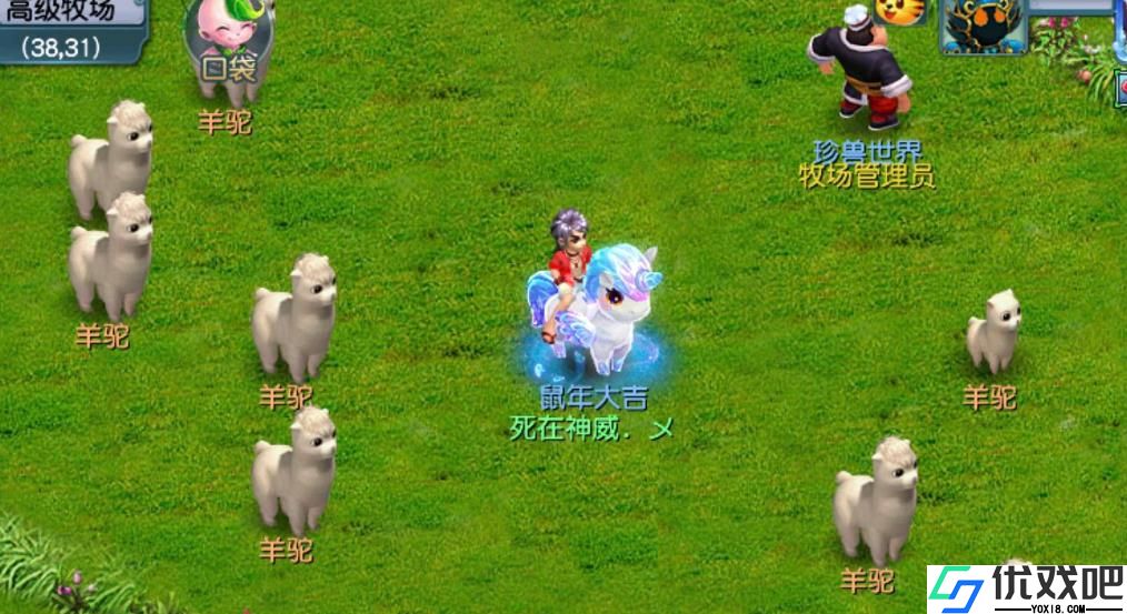 梦幻西游怎么养羊驼
