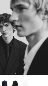 ZARA app