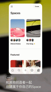 VSCO相机app
                           
