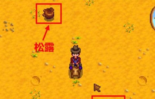 星露谷物语松露油怎么制作-星露谷物语松露油养成指南