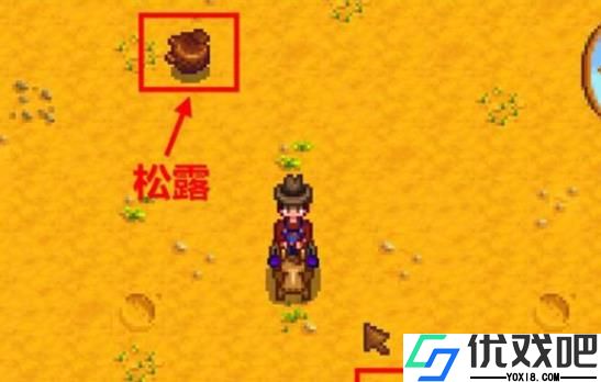 星露谷物语松露油怎么制作
